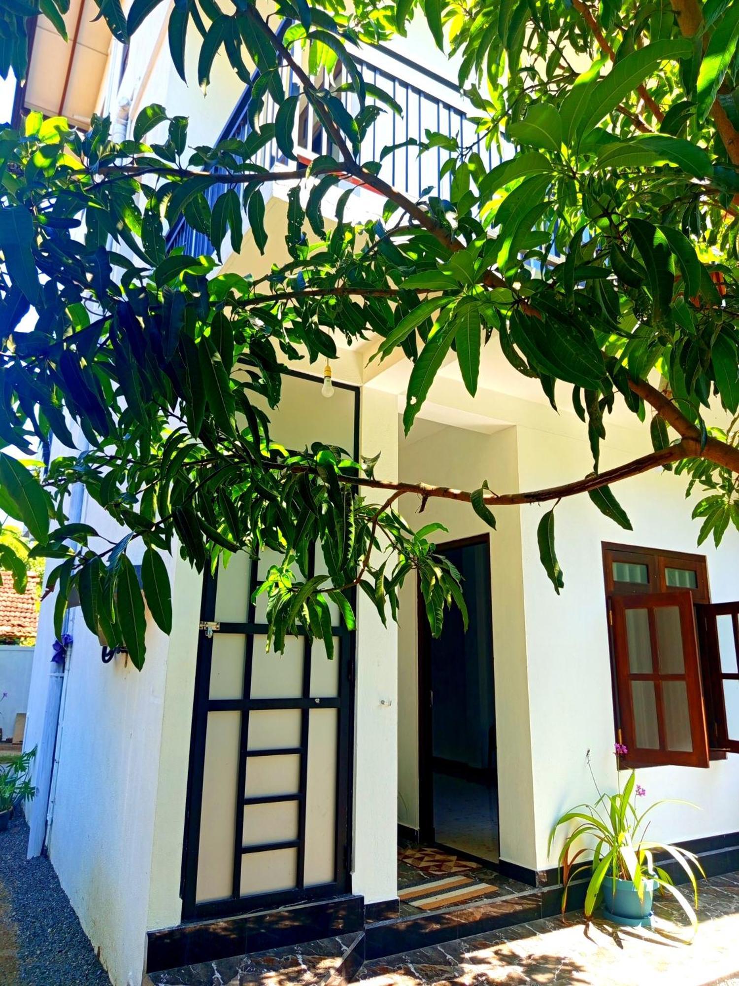 Olu Bunk Apartamento Dikwella Exterior foto